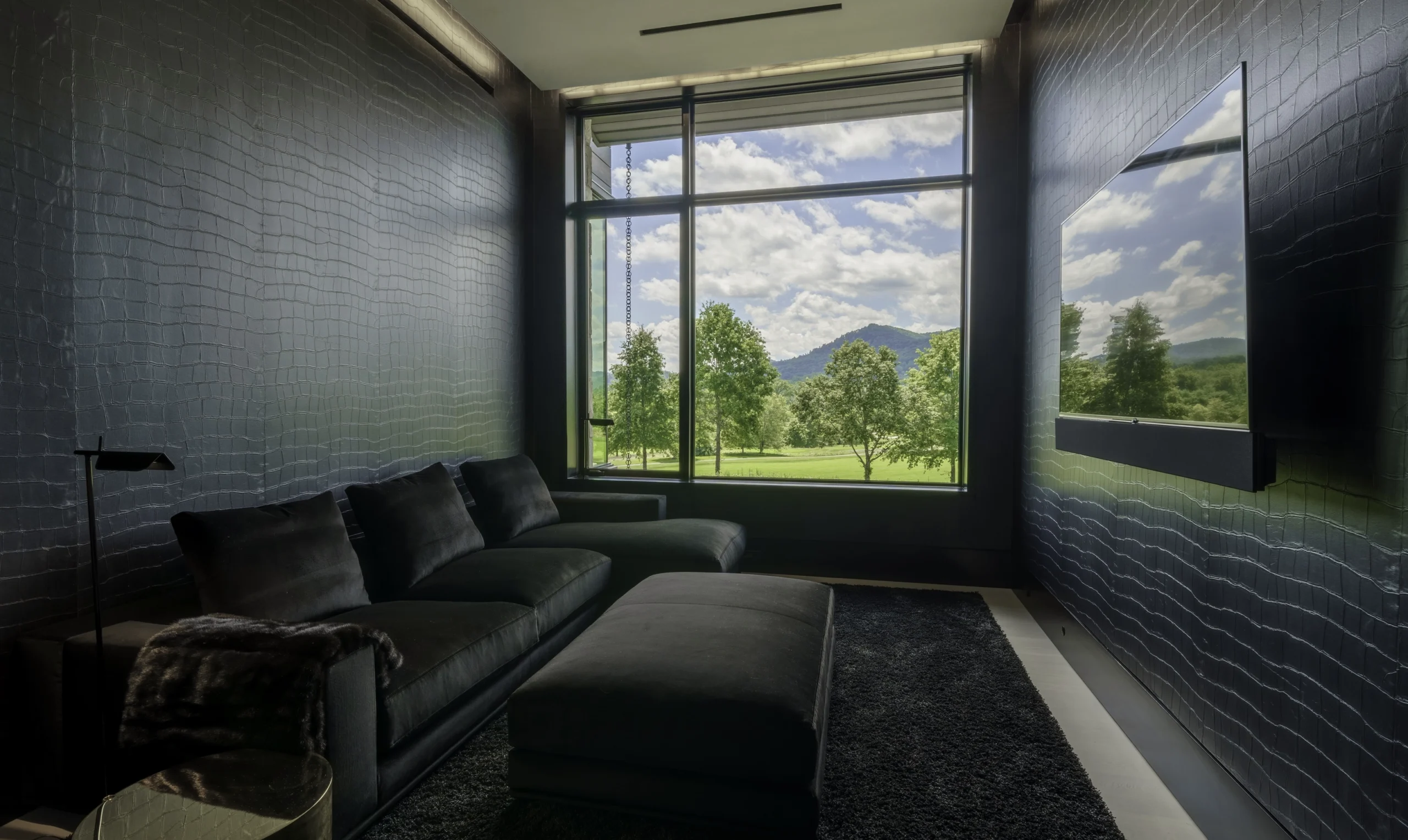 Asheville MEDIA BLACK